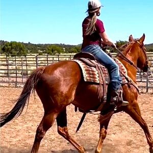 Meet your Posher, Melyssa